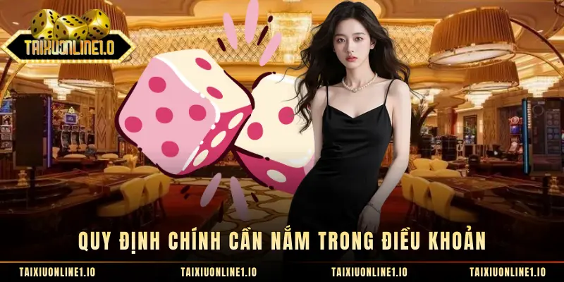 Quy định chính cần nắm trong điều khoản